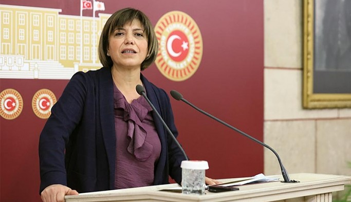 HDP'li Beştaş: ‘Demokratik ulus’ tanımının olduğu anayasaya ihtiyaç var