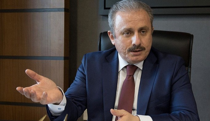 Meclis Başkanı Şentop: 'Tek adam' diyenlere soruyorum size göre kaç olması lazım, yani 2, 3, 5, 10?