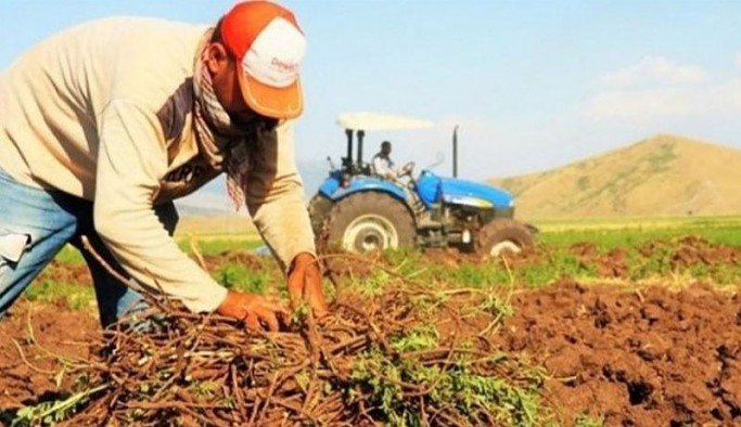 Bakanın 6 lira dediği ürün, piyasada 15 lira: AKP'nin tarım politikaları iflas etti