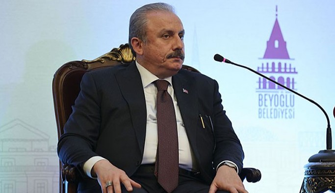 Şentop'tan 'hükümet sistemi' açıklaması: Erdoğan, arabayı ben kullanacağım dedi