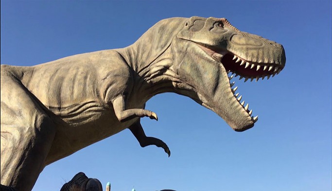 'Çılgın proje' Ankapark'ta yeni detaylar: Yalnızca dinozora 7,9 milyon dolar