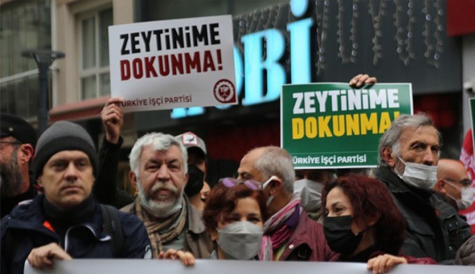 Ekoloji örgütleri: Zeytinlik talanını durduracağız