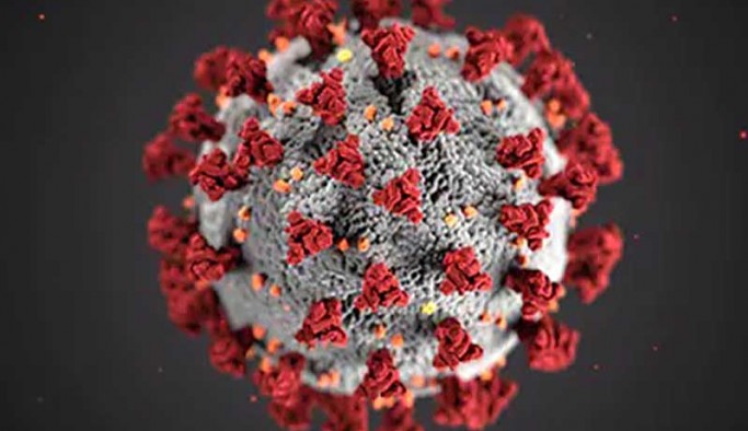 Koronavirüste bugün 77 kişi daha hayatını kaybetti, 16 bin 894 yeni vaka tespit edildi