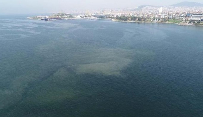 Geri mi dönüyor? Tuzla ve Kadıköy sahillerinde müsilaj benzeri kirlilik görüldü