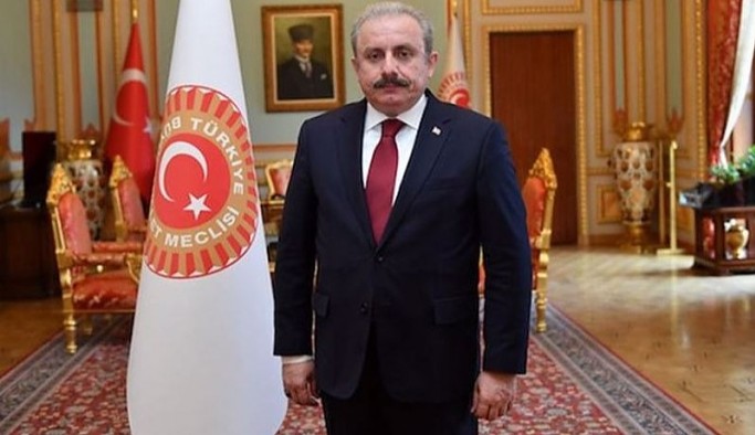 Meclis Başkanı Şentop, AKP'li trole tepki gösterdi: Terbiyesizlik yapma