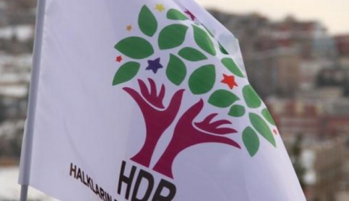 HDP'li eş başkan arama noktasında darp edildi