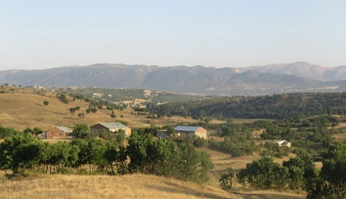 Diyarbakır Lice'de Şiddetli Çatışma Hayatını Kaybeden Askerler Var