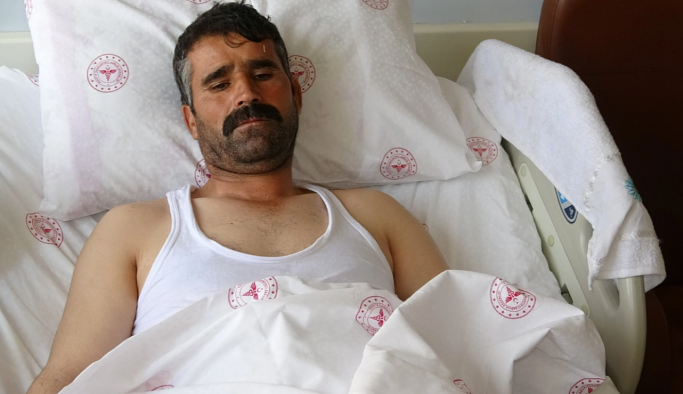 Seçtiği büyükbaş kurbanlığın saldırısına uğradı