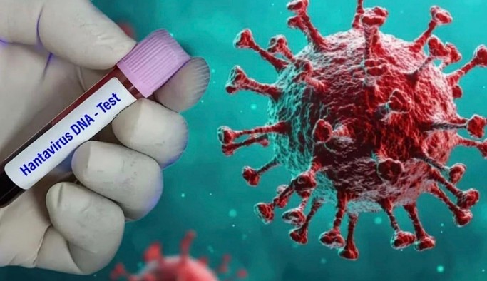 Hantavirüsün küresel yayılım riski ne seviyede? DSÖ son verileri paylaştı