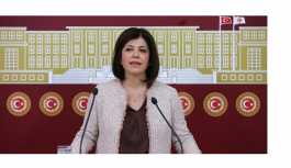 HDP'li Beştaş: Ensarioğlu'nun Kürtler adına konuşma hakkı yok