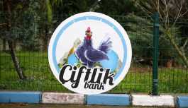 Çiftlik Bank, yuva da yıkıyor: 3 kadın, eşlerine boşanma davası açtı
