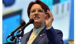 Meral Akşener'den Alparslan Türkeş paylaşımı