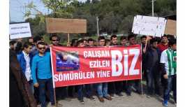 Fakıbaba'ya tepki: Çiftçiyi bitirdiler, şimdi de alay ediyorlar