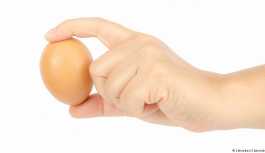 Günde bir yumurta kalbi korur mu?