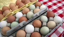 Yumurtanın fiyatı 1 senede yüzde 87 arttı, üretici mutsuz
