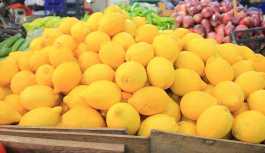 Limonun kilosu tarlada 1, market ve pazar tezgahlarında 10 TL