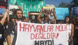 Büyükada'da fayton protestosu: Hayyvanlar özgür olmak istiyor