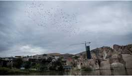 Baraj Hasankeyf'te canlı türlerini etkileyecek