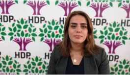 HDP'li Başaran: Kayyumların peşini bırakmayacağız
