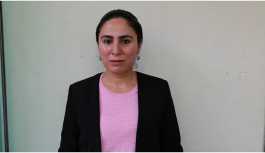 HDP'li Sürücü'den Suruç davasına çağrı