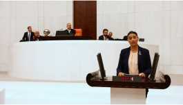 Uca: Leyla Güven Meclis'te olmalı