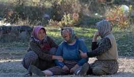 Uşak'ta feci kaza:1 ölü