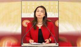 HDP’li Kıran'ın darp edilmesi Meclis'e taşındı