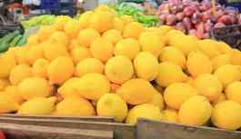 Türkiye Halciler Federasyonu Başkanı Tavşan yanıtladı: Limonun fiyatı nasıl 5'e katlanıyor?