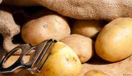 Patates üreticileri hükümete tepkili