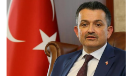 Bakan da doğruladı: İthal edilen hayvanların evrakları sahte çıktı