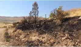Dayrulzafaran Manastırı etrafında yangın!