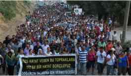 Dersim festivali başlıyor