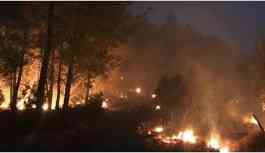 Muğla'da orman yangını: 2 köy boşaltıldı