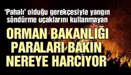 Orman Bakanlığı paraları bunlara harcıyor