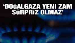 'Doğalgaza yeni zam sürpriz olmaz'