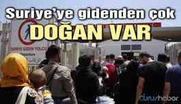 Suriye'ye gidenden çok doğan var!