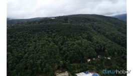 Teleferik için 3 bin ağaç kesilecek