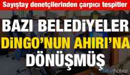 Sayıştay denetçilerinden çarpıcı tespitler! Belediyeler Dingo’nun Ahırı’na dönmüş