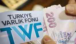 Varlık Fonu zarar ve borç fonu oldu