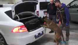 Polis memuru 121 kilo esrarla yakalandı