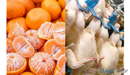 40 ton mandalina ve 26 ton tavuk eti gümrükten geri döndü