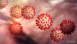 Coronavirüsü insan yapımı mı? ABD'li araştırmacılar kanıtladı