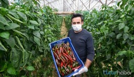 İBB çiftçinin satamadığı ürünü alacak