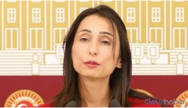 HDP: Alevilere haksızlık yapılıyor