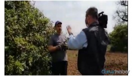 İBB'nin tepki gösterdiği 'limon'lu kurmaca haberin detayları ortaya çıktı