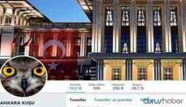 Twitter fenomeni ‘Ankara Kuşu’ gözaltına alındı