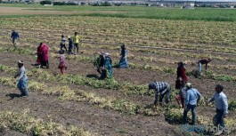 "Tarımı şahlandırmazsak kıtlık ve açlık salgını başlayabilir"