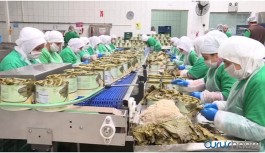 Yemek fabrikasında 50 işçide koronavirüs çıktı