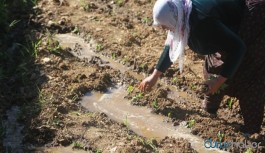 İşsizlik, açlık... Kentten köye dönüş başladı