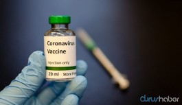 Koronavirüs aşısında yeni gelişme! Makak maymununda başarılı oldu